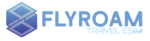 FlyRoam